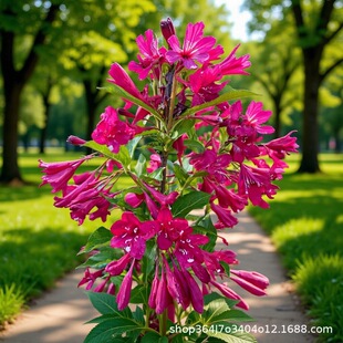 �|���|���ļ��\�� �t�������\�� ����G�hС����������a��