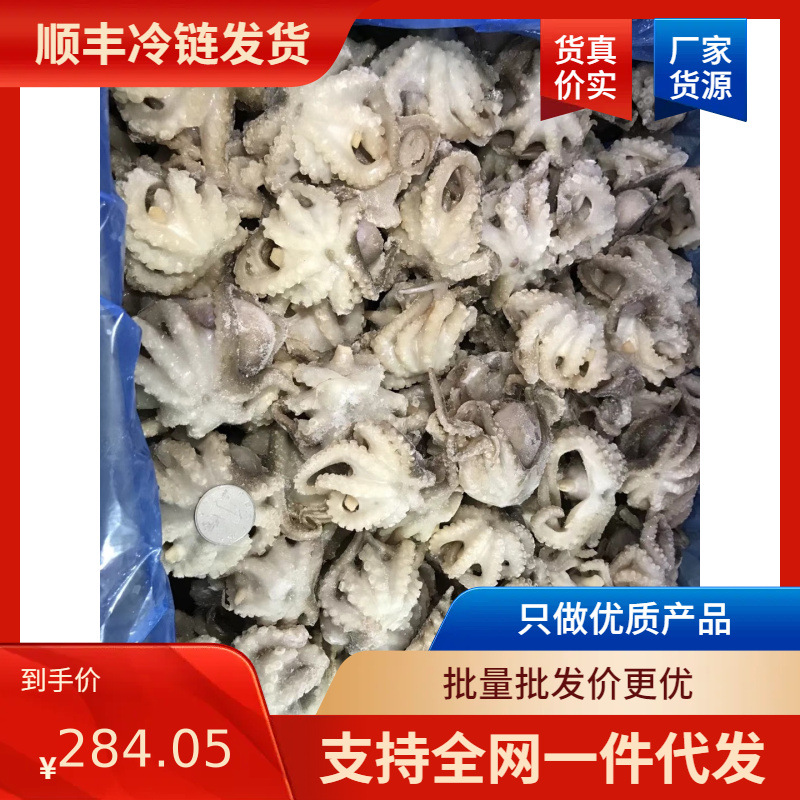 批发供应冷冻八爪鱼小章鱼去内脏无包冰麻辣捞汁海鲜原料食材野生