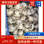 批发供应冷冻八爪鱼小章鱼去内脏无包冰麻辣捞汁海鲜原料食材野生
