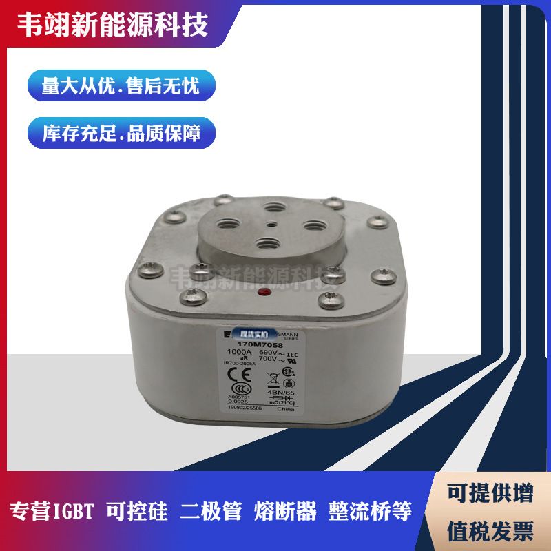 巴斯曼原装熔断器170M7058 170M7059 170M7060 170M7061 170M7062