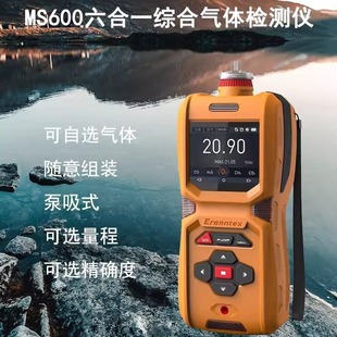 MS600 six-in-one multi-component gas detector VOC handheld portable pump suction gas detector