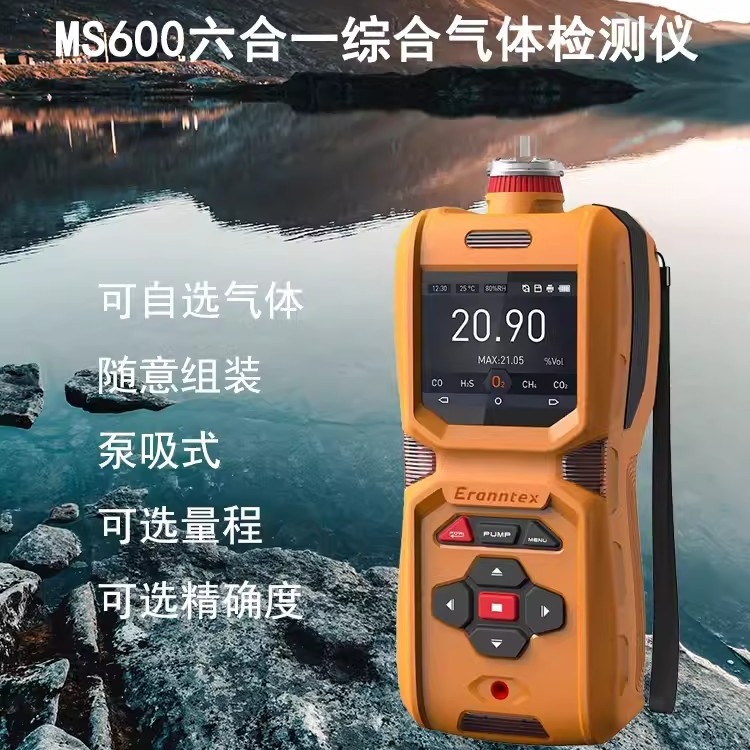 MS600六合一多组分气体检测仪 VOC手持式便携式泵吸式气体检测仪