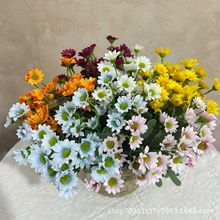 ����С�r����ʾշ��滨�߼��л������Q�ٻ��羳�ֹ������ҾӔ[��