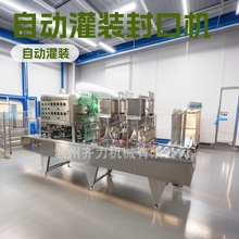 供应杯装枸杞果汁自动灌装封口机 常温绿豆沙冰充填封杯机