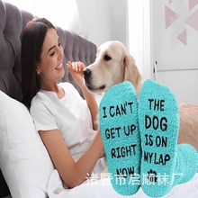 现货不掉毛珊瑚绒蛋糕袜欧美跨境爆款爱狗袜子字母防滑点胶地板袜