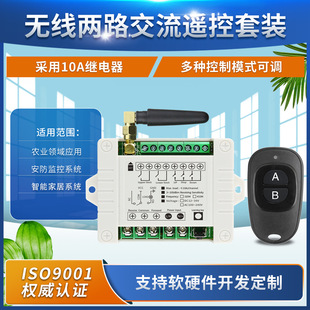 Ac220V Two-Way 10A Water Pump Push Rod Controller Black Duck Egg 2-Key Wireless Remote Control Switch Lift Electromechanical Cabinet