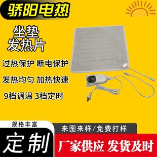 Electrically Heated Moxa Velvet Cushion, Mugwort Cushion, Moxibustion Cushion, Linen Cushion for Home Office, Heating Sheet
