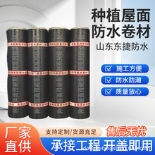 ˮďSҷNֲ͸SBSˮ lW~̥w