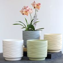 ¿ysմɻСLбPömm