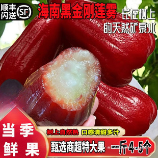 ���Ϻڽ���ɏ�F���������خa���rˮ��5����S�Y�д����ش��ɏ�F