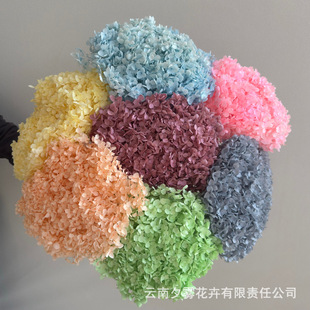 ���Ƚ���Ưɫ�����������滨DIY���ϲ廨��ˇ�Ĕz���߹��S���l