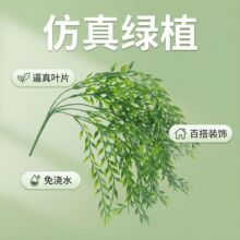 �羳���R�d����Gֲ���l�����҃��bڒ��픱��������~�ٗl�̿�