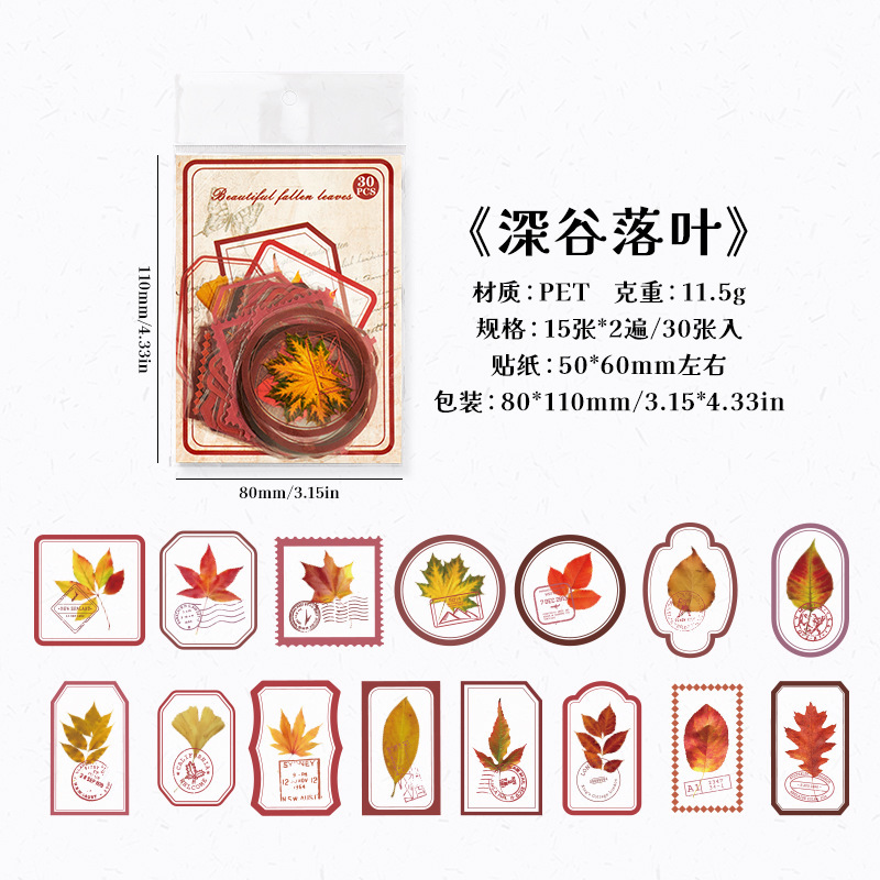 1 Valle profundo y hojas caídas