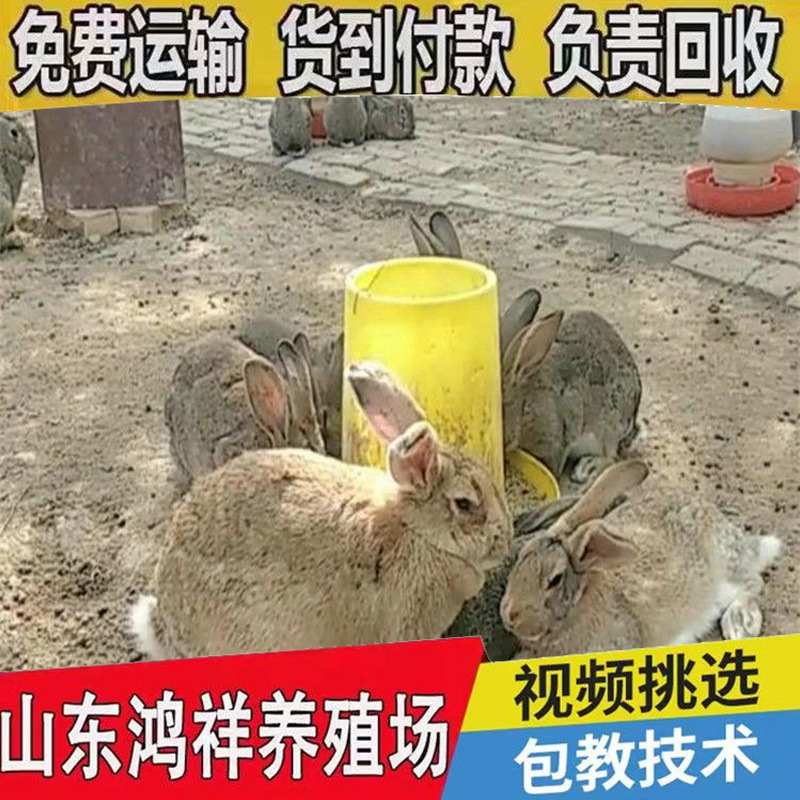 b_1260965202101121740141397.jp