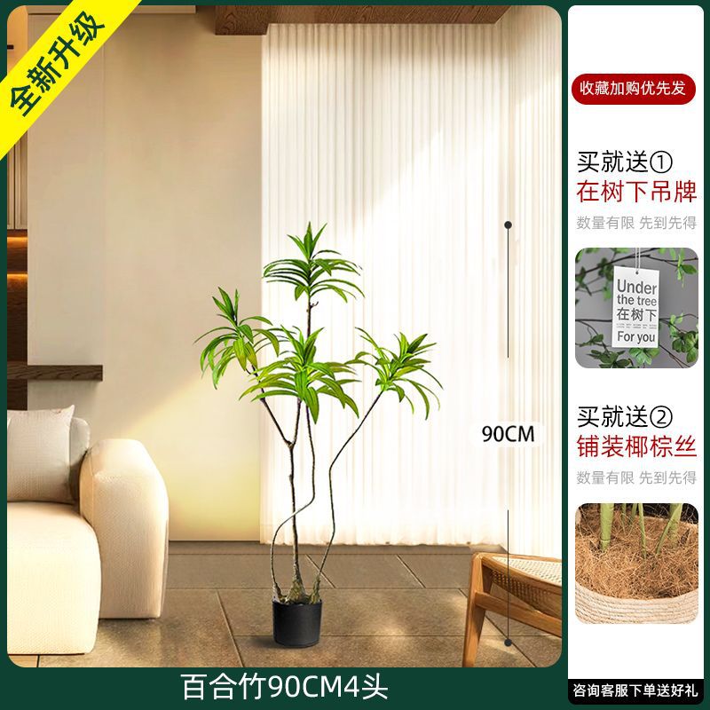 [W Ruyi Bamboo] Chậu đen đầu 90CM4