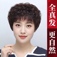 ���˰l�ٰl������̾��l���p��͸�����˰l�z���������ȫ��l�^��