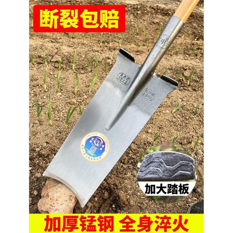 锰钢挖树专用锹加厚挖树锹全钢淬火钢锹起树铁锹挖树神器