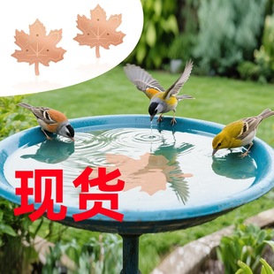 �F؛ Maple Leaf  Bird Bath Purification���~�����Bԡ�����P