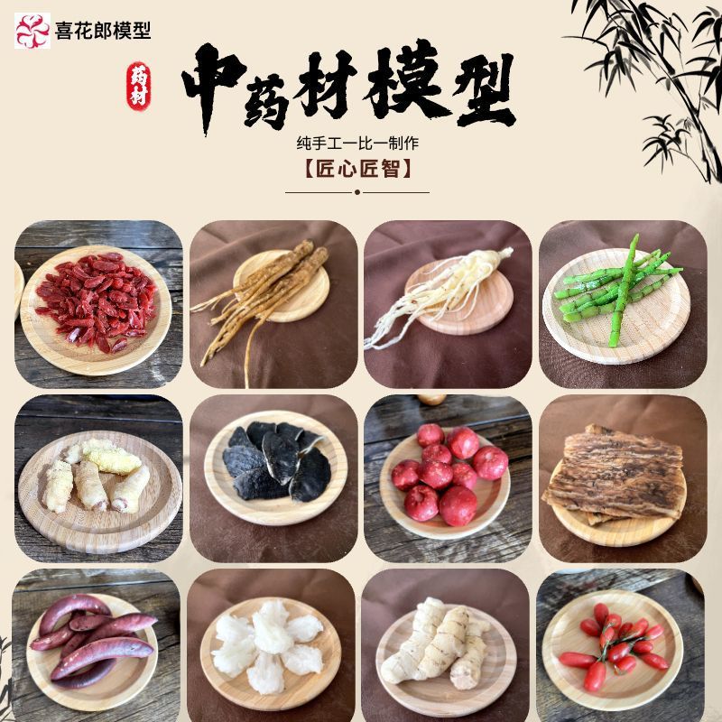 仿真中药材标本模型科普道具医院药房养生保健膳食样品展台摆设