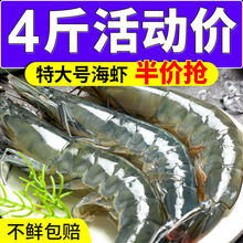 大蝦批發新鮮鮮活冷凍海捕野生基圍蝦對蝦青蝦白蝦海鮮水產速賣通