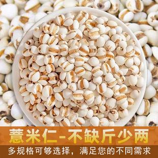 ޲����޲���ʮ����F��С޲������s�Z��СҎ��F؛���l��̴��l