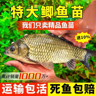 �S���a�~�����l�ش���a�п�5̖�ؑc��ˮ�Bֳʳ�ù�������a�Ĵ�