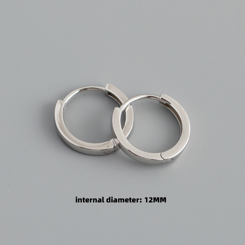Mode Kreis Sterling Silber Überzug Ohrringe 1 Paar display picture 18