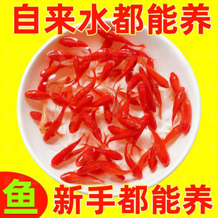 �ݽ���~�^�p�~С���~����~���B�ͻˮ��ˮ������ؔ�ͺ�����