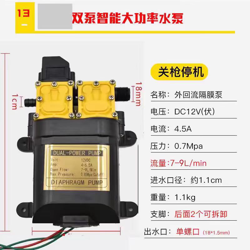 Pulverizador eléctrico agrícola bomba de agua bomba de diafragma 12V pulverizador de alta potencia bomba de agua especial bomba de agua eléctrica de alta presión