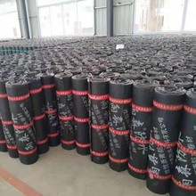 SBSԞrˮ 픻𿾾ķˮϾ̥3mm4mmSֱ