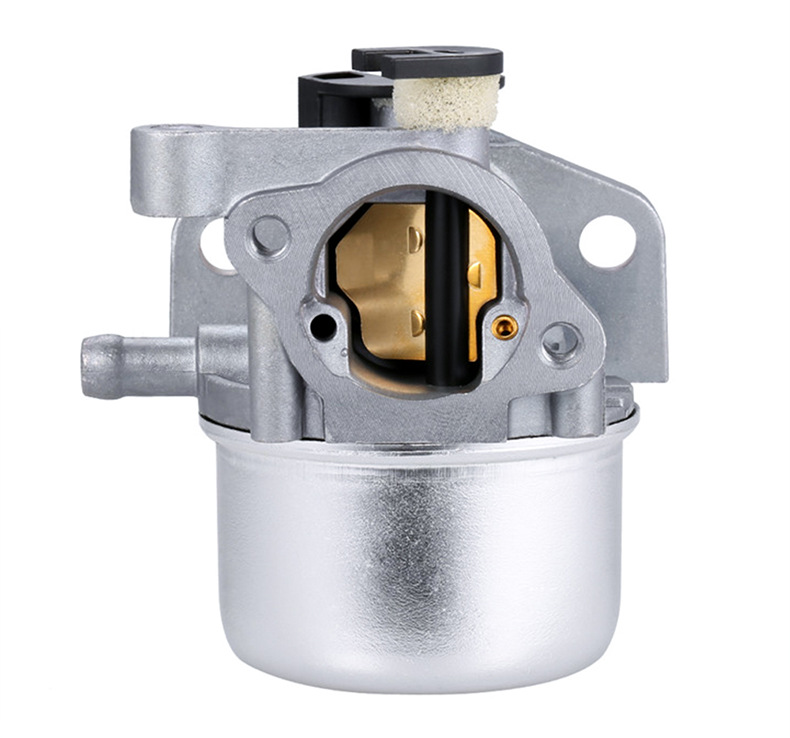 799871 Carburetor for Bs 790845 126m02 799866 796707 Carburetor