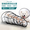 Elizabeth Circle Cat Pets Protective Beauty Head Set Waterproof transparent dog collars