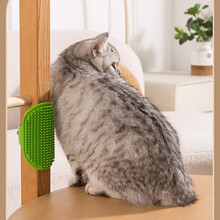 ��Ħϴ��؈�����ȥ��ë؈���W�������N�������Ƚ������z��Ħ��