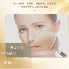 單片葉仙妍人參補水光采面膜補水保濕男女面膜夏季清爽補水批發