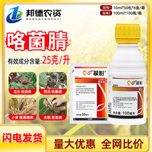 �����_�m���r �������Ӱ�������߹��󶹸������N���rș������