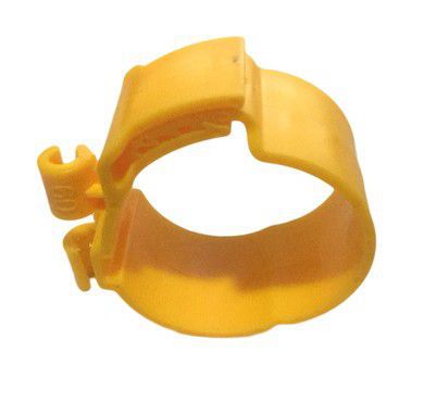 인기 노란색 50튜브 카드 3.5cm/800개