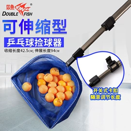 篮球;乒乓球台;足球