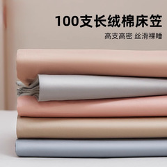 新商品のハイエンド100本の綿のベッドカバー