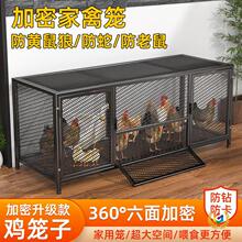 ✅鸡笼子家用鸭鹅兔养殖加厚加密防黄鼠狼笼网片鸡笼兔子笼鸽笼户