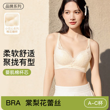 ĪС滨ٽzŮʿСؾ۔nз´m͸