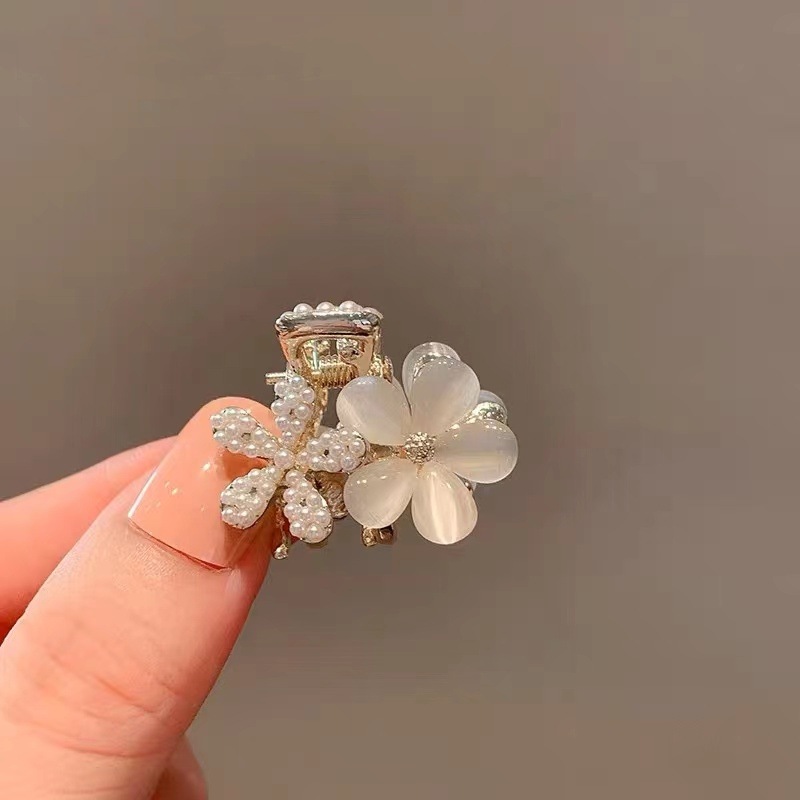 微信图片_202403211630072