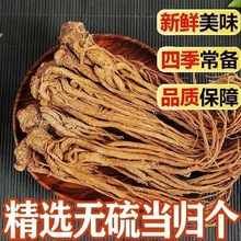 wlƬ500gș Ʒw CếhhSؼҰh