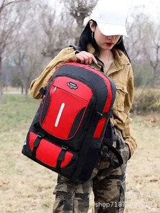 Capacious backpack for traveling, luggage travel school bag 5
