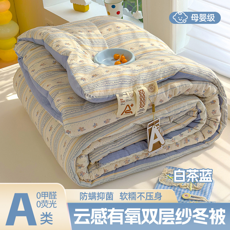 Class a Winter Antibacterial Quilt, Spring & Fall Quilt, Air-Conditioned Quilt Core, Cotton Summer Cool Quilt, Thin Home Dormitory, Kidsren's Dormitory 2