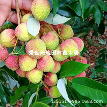 ��֦�����F��������^���G��G�ᭇ�X�SŴ�����t�����������~