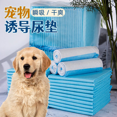 犬用おしっこパッド、ペット用品、テディ竹炭消臭おむつ吸収パッド、猫・ウサギ用おむつパッド