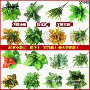 ����ֲ��Gֲ���ٻ����҃����ⱳ�����b��G�}�����řڻ�