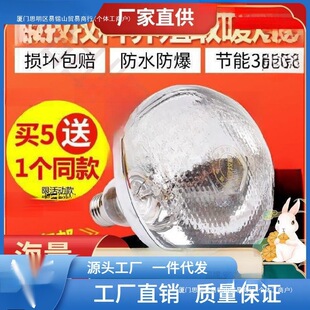 ������ȡů�Ƶ�����ݿ��������ӟ�Ӝ���������̨ʳ���������Bֳ