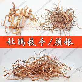 造景木枝杜鹃根枝条摆件景树根巴西树枝生命之树洞景观缸用