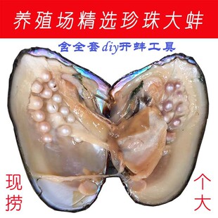 �T��Դ�^��������l5-10���r��Ӱ����w������M�ϰ��Bֳ��ֱ�l